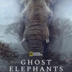 Ghost Elephants (2026) h2zN5Oo89DjwY9Q4F8zto5MlnNb.jpg