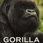 A Gorilla Story: Told by David Attenborough (2026) kyfsiPQsJxdgf8gOtYkUhwojN6l.jpg