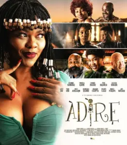 Adire (2023) adire