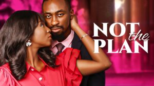 Not The Plan (2024) nottheplan