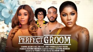 Perfect Groom (2024) Perfect Groom (2024)