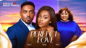 Perfect Love (2024) Perfect Love (2024)