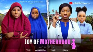 Joy of Motherhood (2025) Joy of Motherhood (2025)