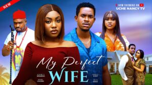 My Perfect Wife (2025) My Perfect Wife (2025)