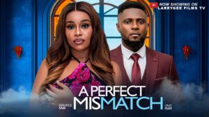 A Perfect Mismatch (2025) A Perfect Mismatch (2025)