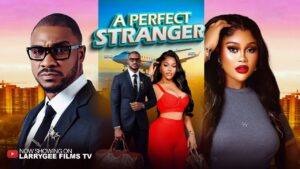 A Perfect Stranger (2026) A Perfect Stranger (2026)