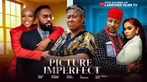 Picture Imperfect (2026) picture-imperfect-2026